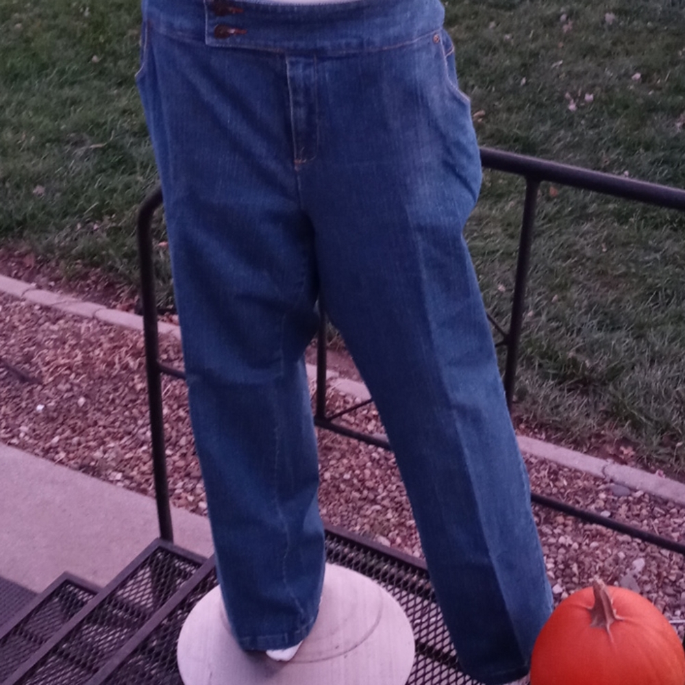 NWOT! CJ Banks jeans